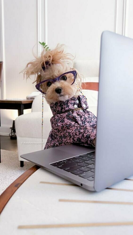 Funcionário mordido pelo cachorro pede indenização para empresa 